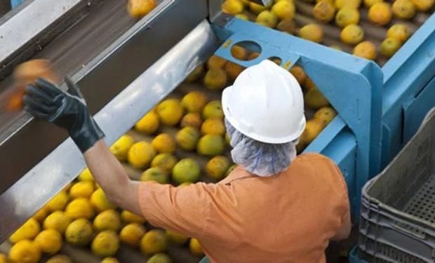 Indústria da laranja paralisa fábricas por safra menor e baixa qualidade das frutas 