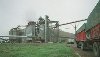 La industria aceitera pierde competitividad en relación con China