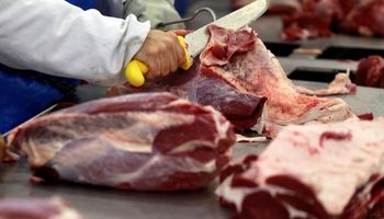 La inflación de abril fue del 4,1% y la carne acumula un aumento del 64,7% contra el año pasado