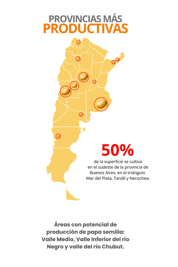 regiones productoras de papa