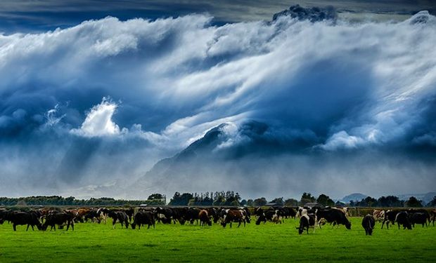 Estamos atravesando una época durísima en la cual el empresario rural debe demostrar resiliencia.