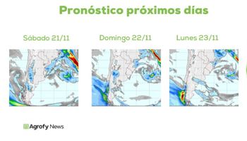 Lluvias: se esperan precipitaciones de amplia cobertura para la próxima semana