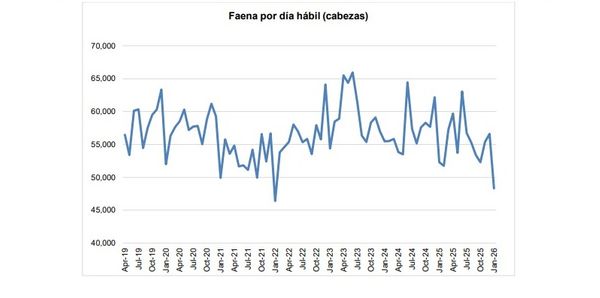 Informe de faena y producción bovina