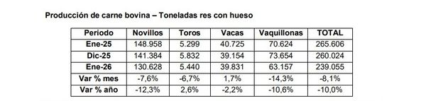 Informe de faena y producción bovina