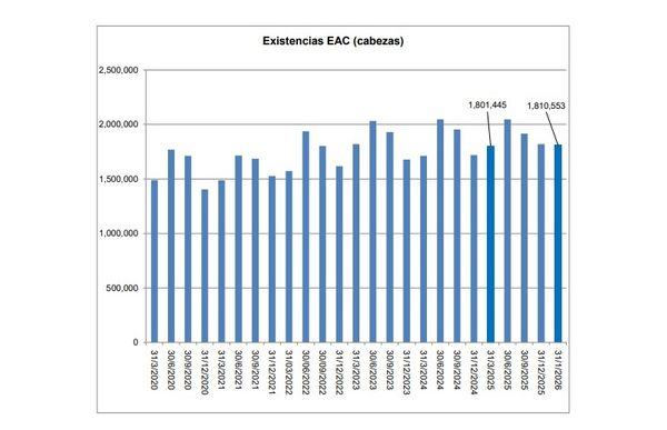Informe de faena y producción bovina