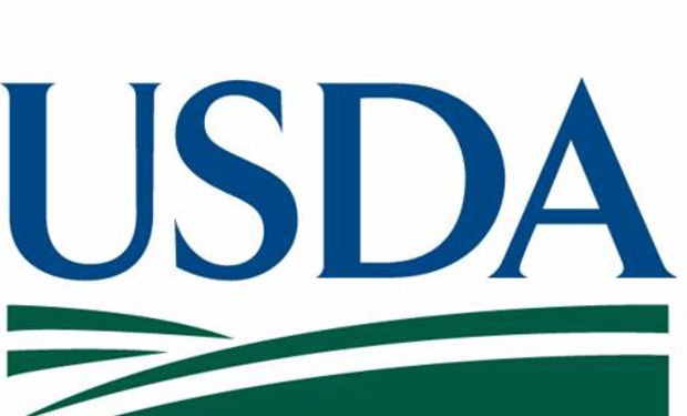 Informe del USDA: cómo impacta sobre el precio de la soja, el trigo y el maíz