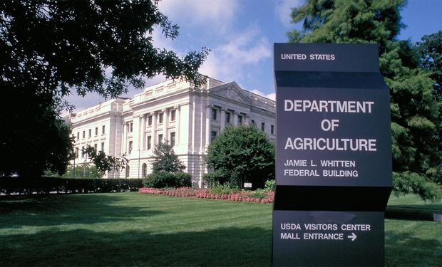 Soja, maíz y trigo cerraron con subas luego del informe del USDA
