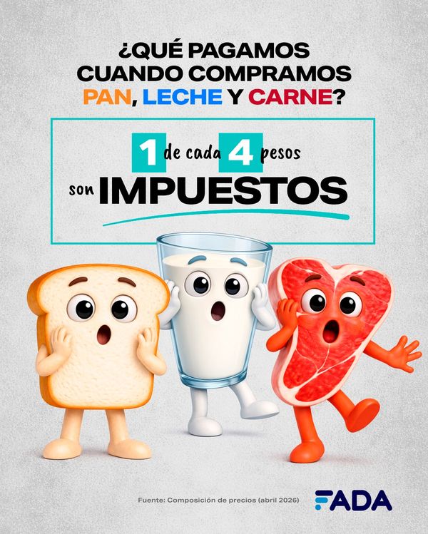 Informe FADA