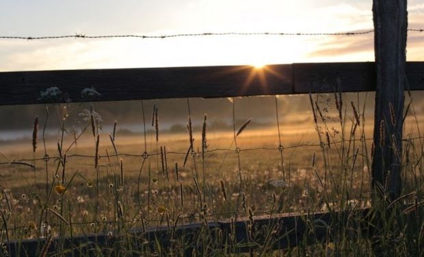 La venta de acciones y de bienes se encuentran gravada por impuestos.