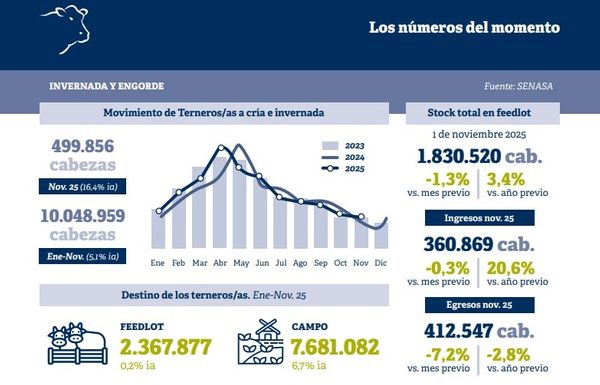 Informe mercado de carne vacuna