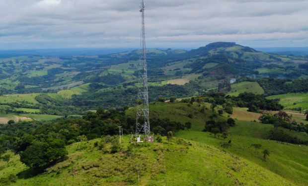A meta é beneficiar 12,5 mil propriedades nos próximos cinco anos, ampliando de forma consistente a presença da rede trifásica no meio rural paranaense. (Foto: Ari Dias/AEN)