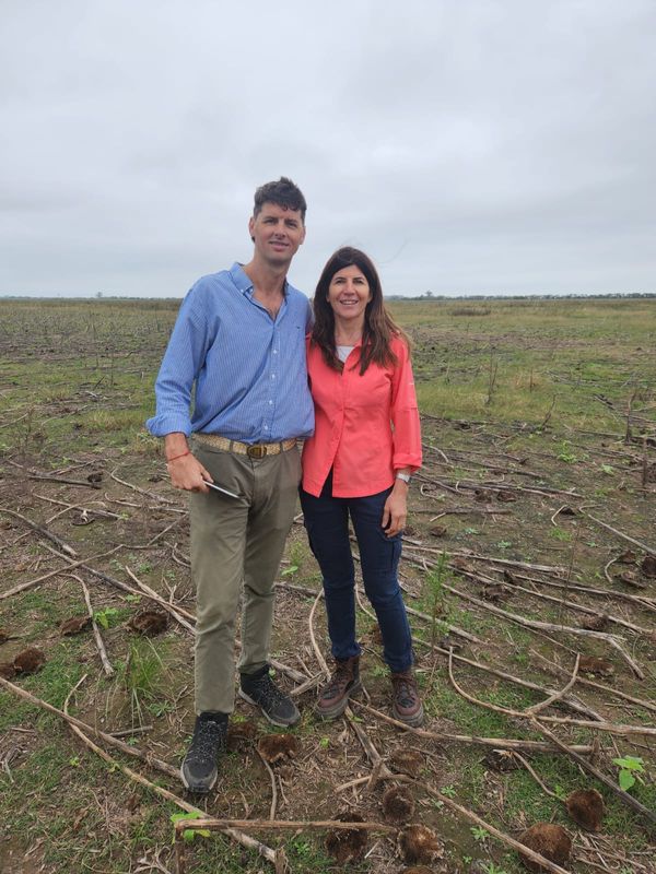 agricultura regenerativa syngenta