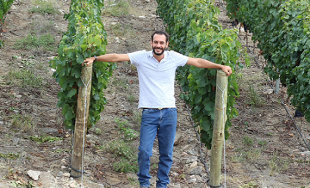 Día del Ingeniero Agrónomo en Argentina: por qué se celebra y dos casos detrás del reconocido vino argentino