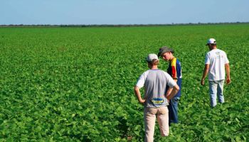 Ingenieros agrónomos: proyecciones de una profesión en crecimiento