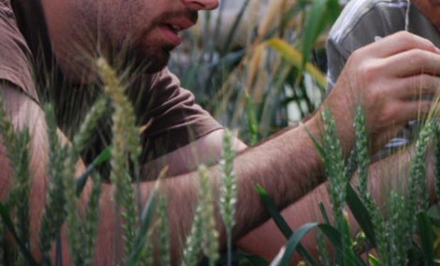 La actualidad de una profesión clave para el desafío de cubrir la creciente demanda de alimentos a nivel mundial.