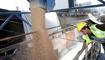 Liquidación de cerealeras cayó a casi u$s 60 millones por día