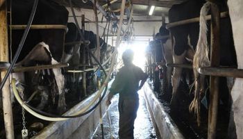 Brasil busca parar el ingreso de lácteos