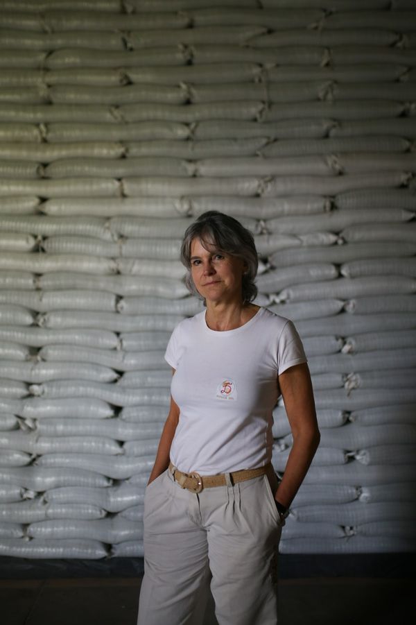 ingrid sterner