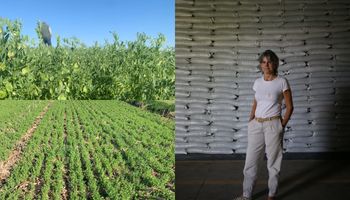 De un fracaso a más de 2000 hectáreas: la mujer que apostó por cultivos especiales cuando era todo soja y hasta le planteaban "¿se saca algo con eso?"