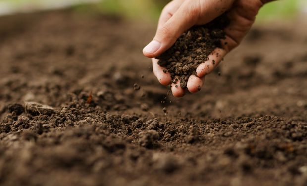 Agro: ofrecen más de un millón de dólares a startups que logren reducir la huella de carbono y mejorar la salud del suelo