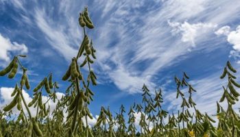 Novembro será de calor acima da média e pouca chuva em parte do país, aponta Inmet