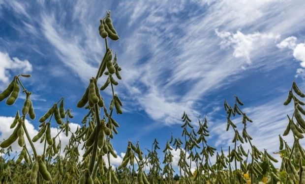 Novembro será de calor acima da média e pouca chuva em parte do país, aponta Inmet
