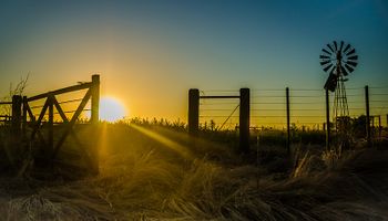 Mercado inmobiliario rural: está "trabado, aunque más activo"
