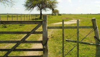 Arrendamientos rurales: cómo es el tratamiento de ingresos brutos sobre el centro