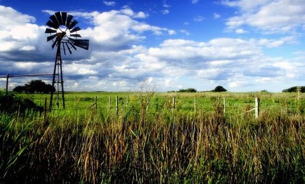 Según expresó Layus, esta suba del inmobiliario rural neutraliza lo que los productores habían ganado con la quita de retenciones.