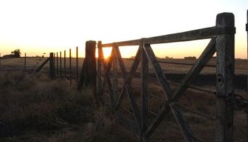 Inmobiliario Rural en Córdoba: diferencias entre la Provincia y el agro