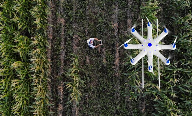 Embrapa lança projetos de inovação no Cerrado Mineiro