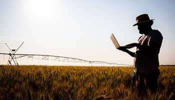Câmara aprova 'preferência' no crédito para startups do agro