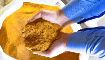 Primeira carga de DDGS da Inpasa vai à China