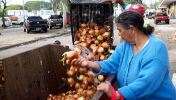 Senado estuda projetos para combater a insegurança alimentar no País