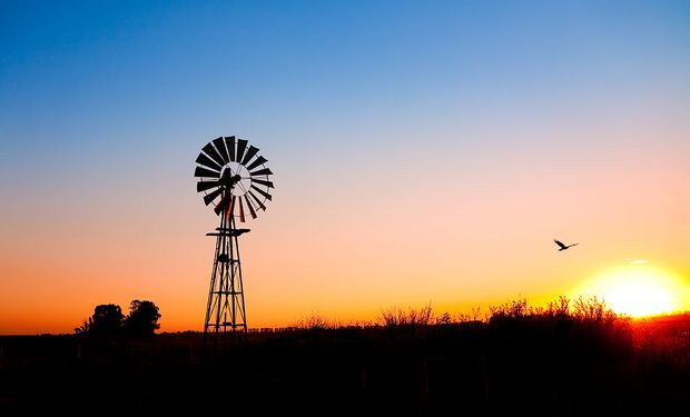 Desde Sociedad Rural de Rosario servimos a la patria aumentando su producción, y también buscando la seguridad de sus ciudadanos.