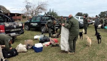 Santa Fe: secuestraron 48 novillos y novillitos tras un allanamiento por abigeato