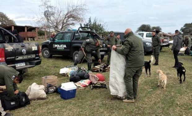 Santa Fe: secuestraron 48 novillos y novillitos tras un allanamiento por abigeato