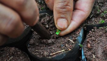 Crean un programa para productoras agroalimentarias 