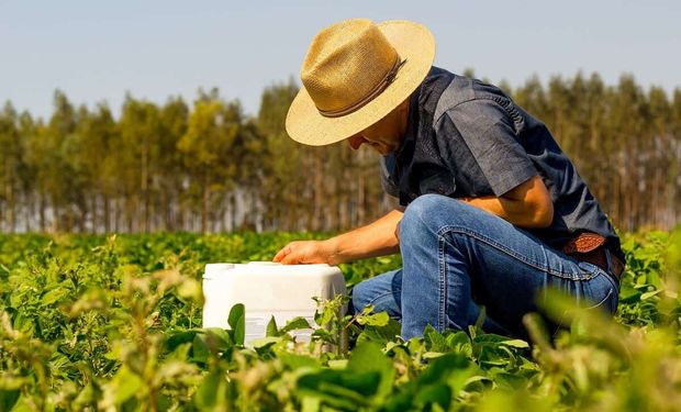 Entregas de defensivos e fertilizantes crescem na safra de verão 2023/2024