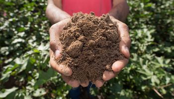 Aprosoja elogia queda do veto sobre produção de bioinsumos on farm