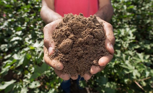 Aprosoja elogia queda do veto sobre produção de bioinsumos on farm