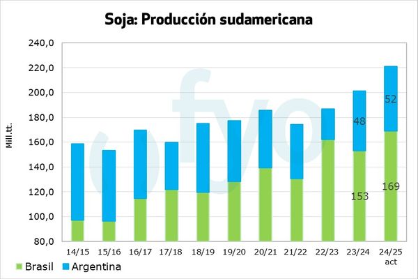 insumos argentina 2024