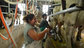 Brasil: un ingrediente más a la crisis de la industria láctea