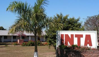 Confirman que el INTA pasa a manos de la Secretaría de Agricultura: “Estamos terminando de definir el decreto”