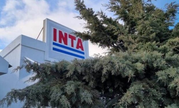 Cambios inminentes en el INTA: el campo planteó tres puntos clave que consideran innegociables