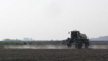 Agricultura sustentable: comparten nuevos hallazgos luego de realizar ensayos en 34 localidades