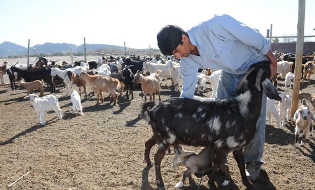 El Gobierno pone en funcionamiento el Instituto Nacional de la Agricultura Familiar, Campesina e Indígena