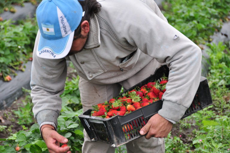 noticiaspuertosantacruz.com.ar - Imagen extraida de: https://news.agrofy.com.ar/noticia/210177/cayo-casi-10-participacion-productor-precio-final-alimentos