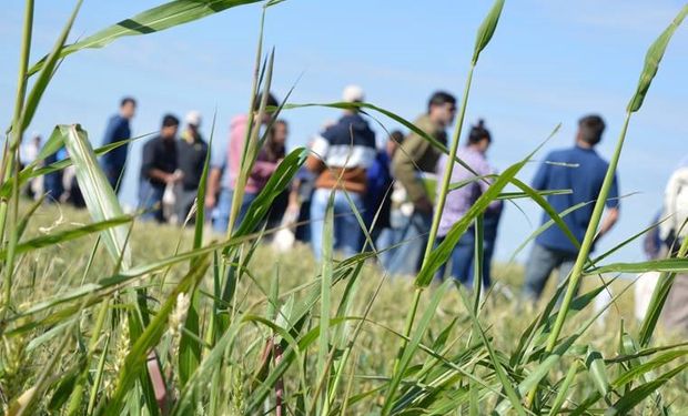 Suma rechazos del agro la embestida K al INTA