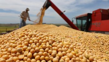 Aclaran que el supercepo al dólar soja no alcanza a las personas humanas, pero sí a las jurídicas: cómo impacta en productores